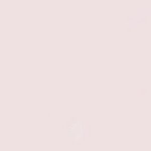 Meet your Posher, Pam